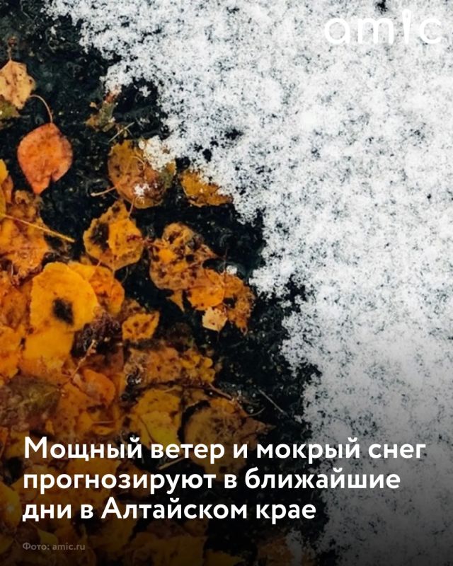 Алтайском крае ожидается ухудшение погоды до конца дня 6 октября и в первой половине ночи 7 октября