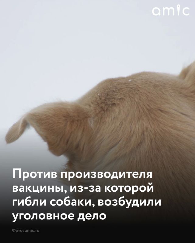 Причиной гибели собак после вакцинации препаратом "Мультикан-8" стал поддельный паспорт качества одной из серий