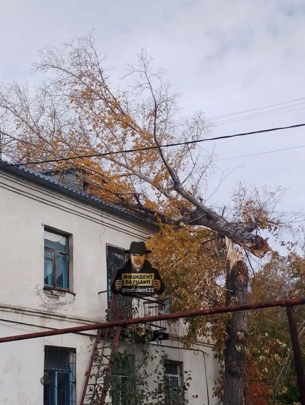 В Барнауле на двухэтажный дом на ул. 40 лет Октября, 15 упало дерево, сообщает "Инцидент Барнаул". Случай произошел сегодня, 6 октября, около 14 часов В Барнауле на двухэтажный дом на ул. 40 лет Октября, 15 упало дерево, сообщает "Инцидент Барнаул". Случай произошел сегодня, 6 октября, около 14 часов