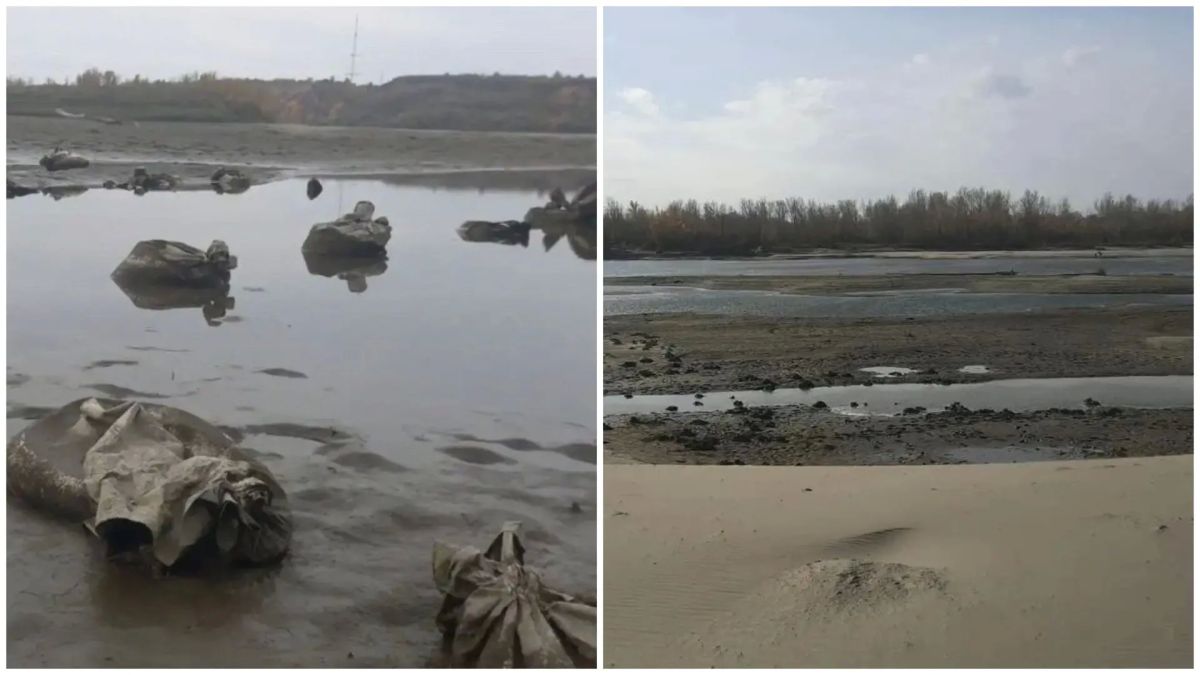 Барнаульский пляж расчистили от брошенных мешков с песком