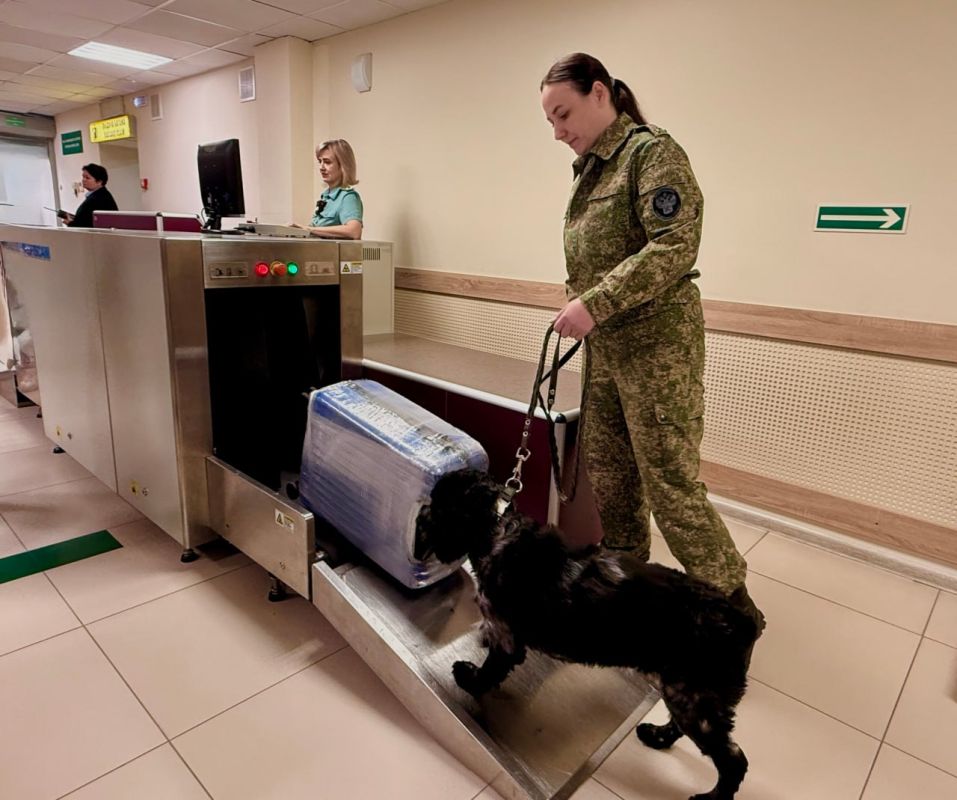 Из барнаульского аэропорта состоялся первый рейс в Абхазию Из барнаульского аэропорта состоялся первый рейс в Абхазию