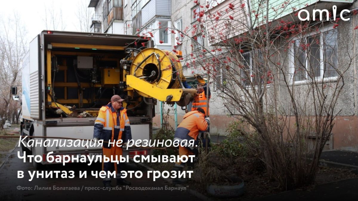 Для части барнаульцев канализация давно стала заменой мусорному ведру
