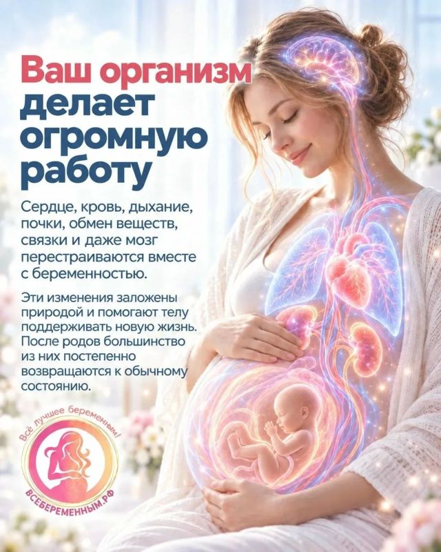 Сегодня День беременных!. Общероссийский общественный проект ВСЁБЕРЕМЕННЫМ.РФ подготовил НЕВЕРОЯТНЫЕ ФАКТЫ О МАМИНОМ ТЕЛЕ ВО ВРЕМЯ БЕРЕМЕННОСТИ! Сегодня День беременных!. Общероссийский общественный проект ВСЁБЕРЕМЕННЫМ.РФ подготовил НЕВЕРОЯТНЫЕ ФАКТЫ О МАМИНОМ ТЕЛЕ ВО ВРЕМЯ БЕРЕМЕННОСТИ!