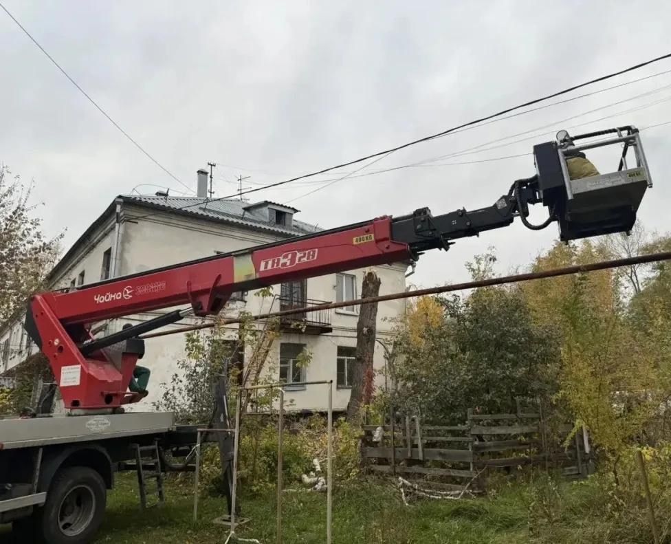 Ветер повредил линии электропередачи и повалил деревья в Барнауле Ветер повредил линии электропередачи и повалил деревья в Барнауле