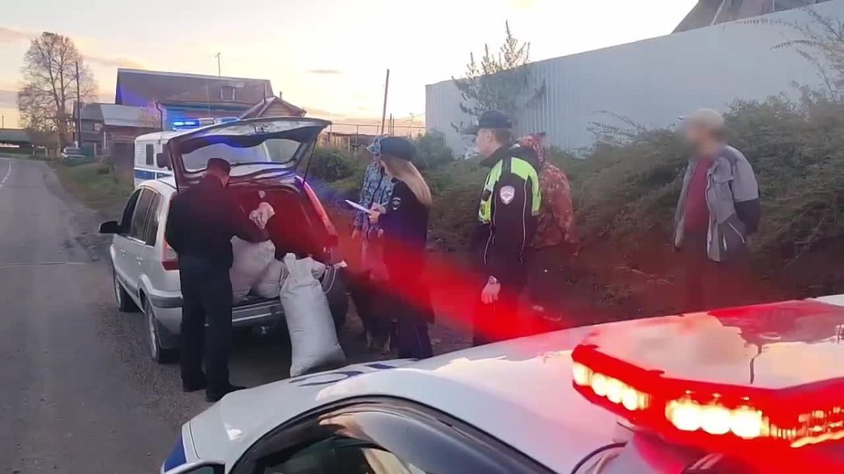 Сотрудники полиции ОМВД России по Первомайскому району задержали двух граждан, у которых изъято более 11 килограммов марихуаны