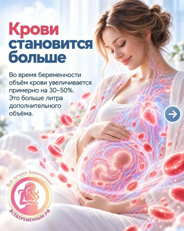 Сегодня День беременных!. Общероссийский общественный проект ВСЁБЕРЕМЕННЫМ.РФ подготовил НЕВЕРОЯТНЫЕ ФАКТЫ О МАМИНОМ ТЕЛЕ ВО ВРЕМЯ БЕРЕМЕННОСТИ! Сегодня День беременных!. Общероссийский общественный проект ВСЁБЕРЕМЕННЫМ.РФ подготовил НЕВЕРОЯТНЫЕ ФАКТЫ О МАМИНОМ ТЕЛЕ ВО ВРЕМЯ БЕРЕМЕННОСТИ!
