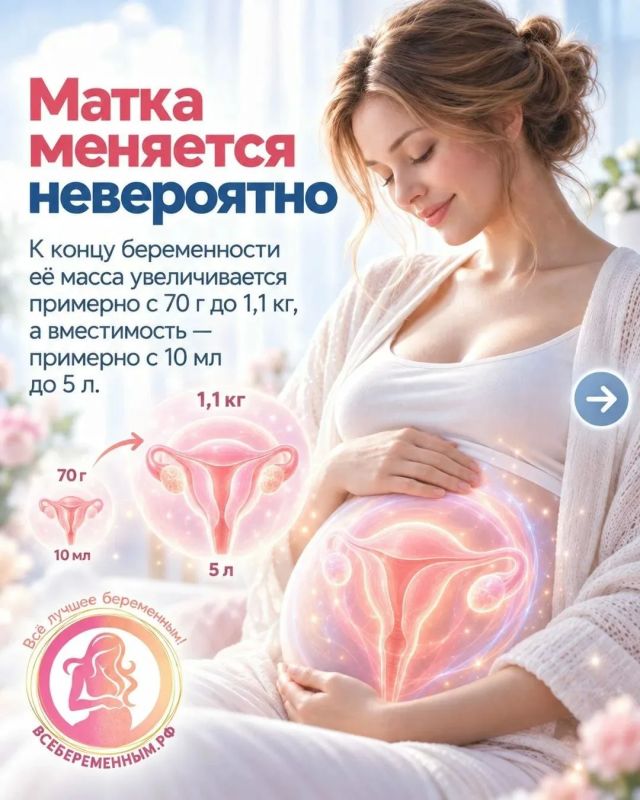Сегодня День беременных!. Общероссийский общественный проект ВСЁБЕРЕМЕННЫМ.РФ подготовил НЕВЕРОЯТНЫЕ ФАКТЫ О МАМИНОМ ТЕЛЕ ВО ВРЕМЯ БЕРЕМЕННОСТИ! Сегодня День беременных!. Общероссийский общественный проект ВСЁБЕРЕМЕННЫМ.РФ подготовил НЕВЕРОЯТНЫЕ ФАКТЫ О МАМИНОМ ТЕЛЕ ВО ВРЕМЯ БЕРЕМЕННОСТИ!