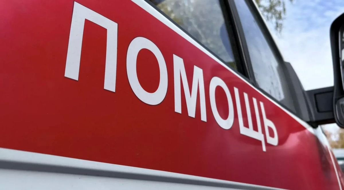 В Солтонском районе Алтайского края медведь напал на 15-летнего подростка