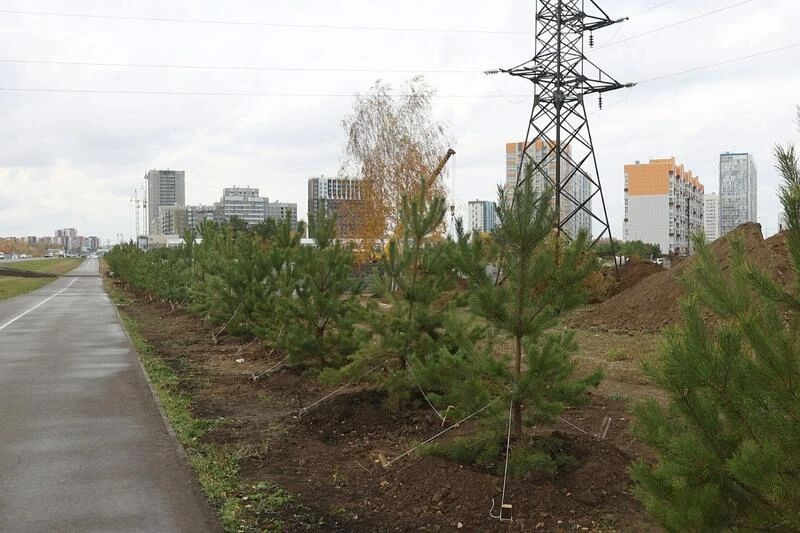 Гимнастки — вперед. Барнауле начали строить первый корпус большого спорткластера Гимнастки — вперед. Барнауле начали строить первый корпус большого спорткластера