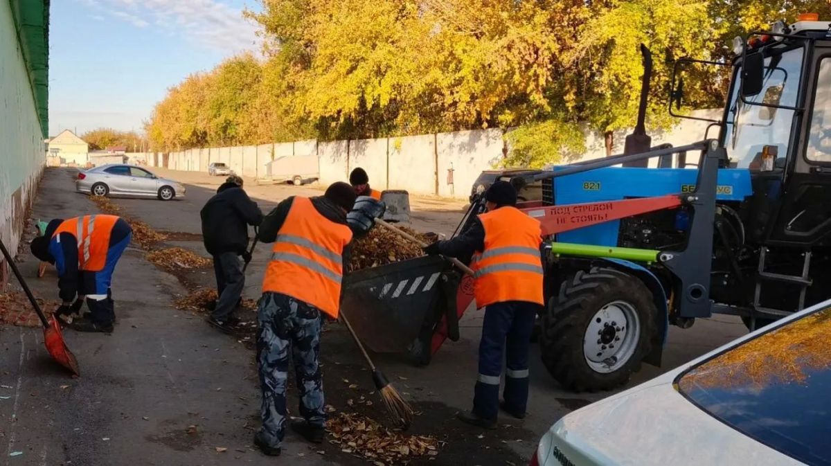 Более 10 тысяч барнаульцев присоединились ко второму «Чистому четвергу» Более 10 тысяч барнаульцев присоединились ко второму «Чистому четвергу»
