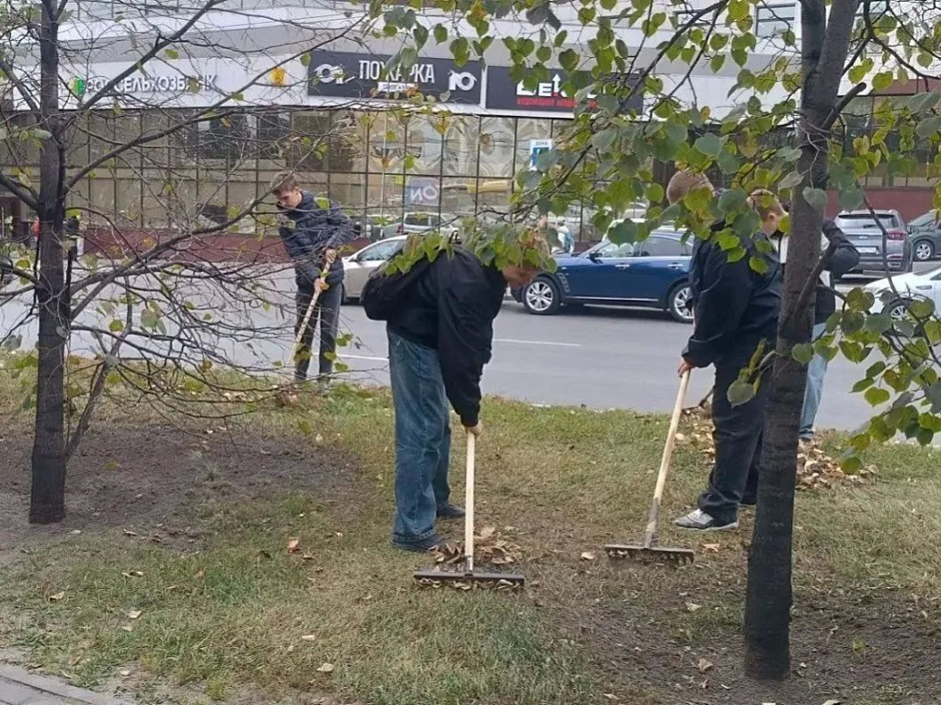 Более 10 тысяч барнаульцев присоединились ко второму «Чистому четвергу» Более 10 тысяч барнаульцев присоединились ко второму «Чистому четвергу»
