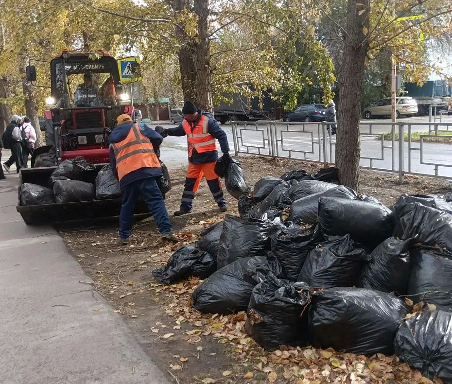 В Барнауле продолжается уборка территорий в рамках месячника санитарной очистки В Барнауле продолжается уборка территорий в рамках месячника санитарной очистки