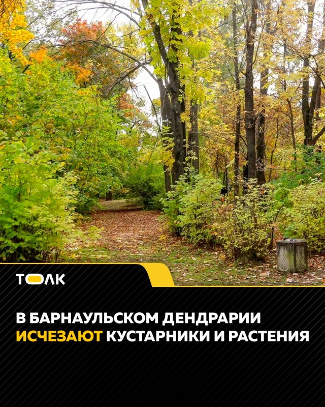 "Черные копатели" крадут растения из барнаульского дендрария