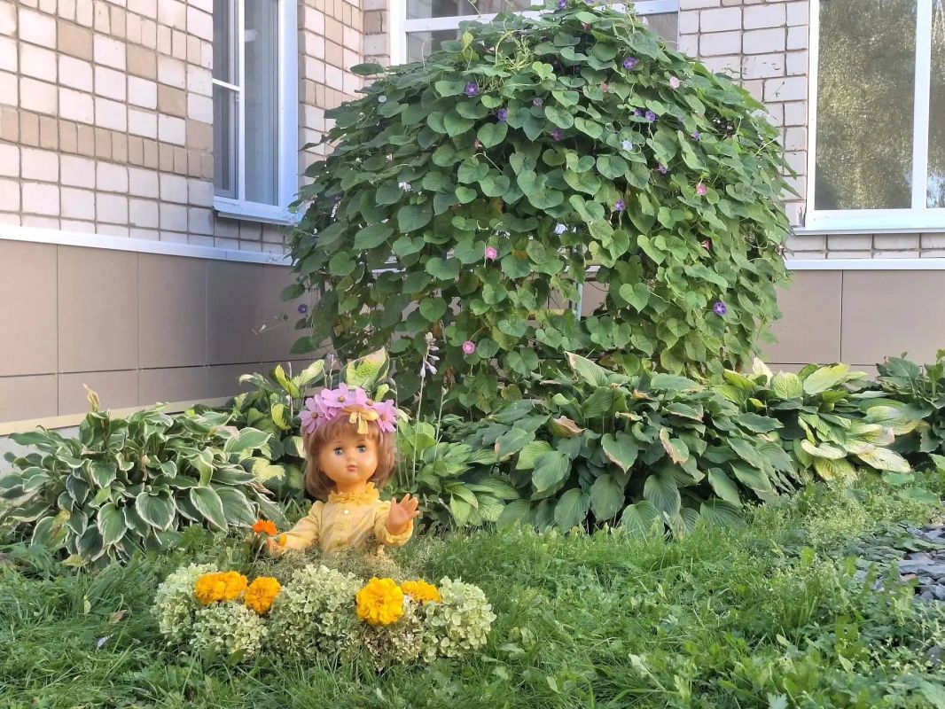 Осень — настоящая волшебница!