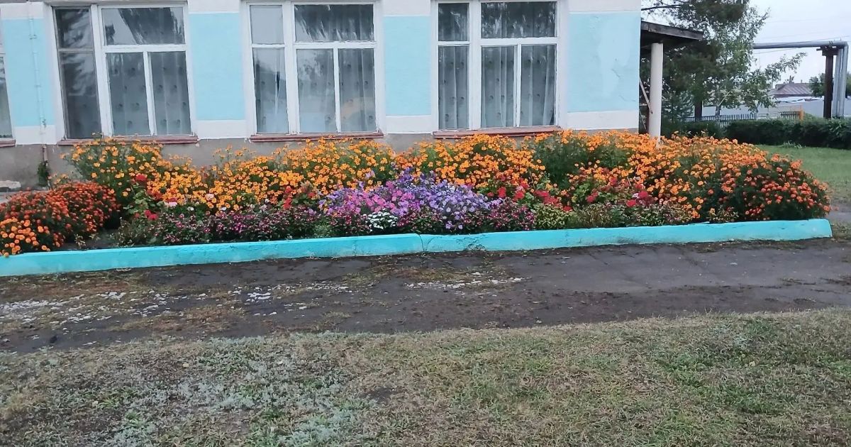 Детский сад «Снежинка» Немецкого национального района также присоединился к флешмобу «Детский сад в осенних красках»! Детский сад «Снежинка» Немецкого национального района также присоединился к флешмобу «Детский сад в осенних красках»!