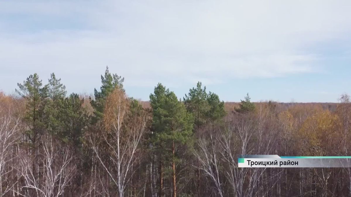 В Алтайском крае решают, как защитить людей от медведей