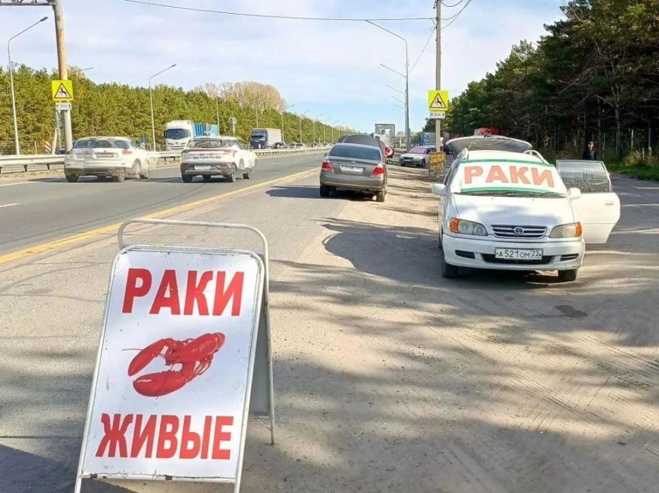 В Барнауле решают проблему незаконной торговли на въезде в город