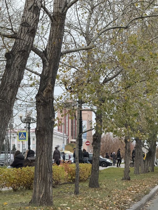 Доброе утро. По предварительным данным синоптиков, к концу октября в Алтайском крае похолодает до +4...+5 градусов, а небольшой снег с дождем прогнозируют уже на этой неделе – с 15 октября