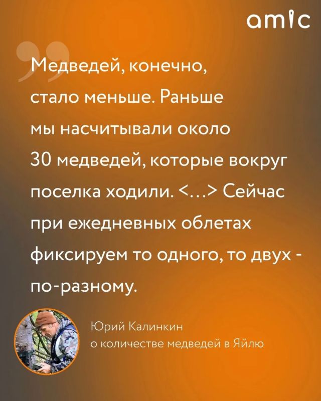 Он изучает медведей больше 20 лет Он изучает медведей больше 20 лет