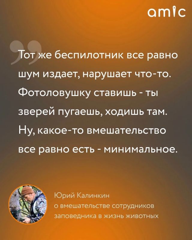 Он изучает медведей больше 20 лет Он изучает медведей больше 20 лет