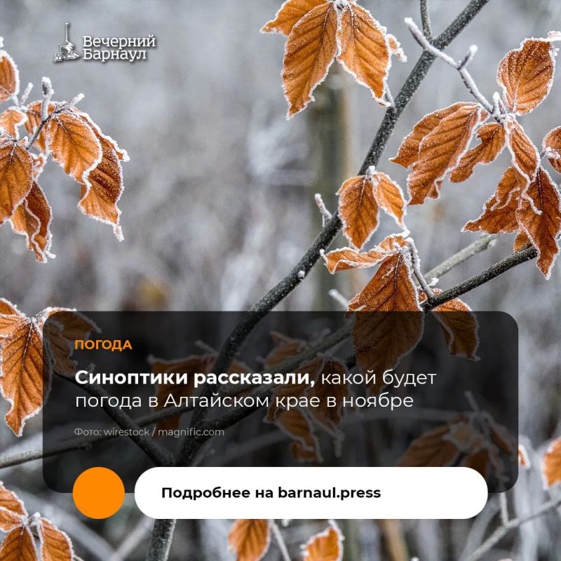 В ноябре 2026 года средняя температура воздуха в регионе ожидается на 1–1,5 градуса выше климатической нормы
