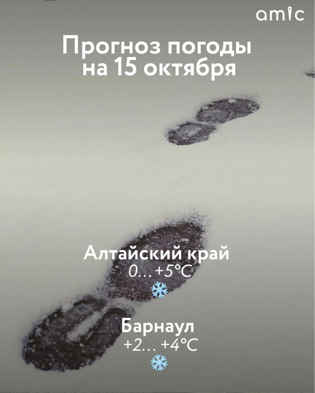 Доброе утро! О погоде в Алтайском крае 15 октября