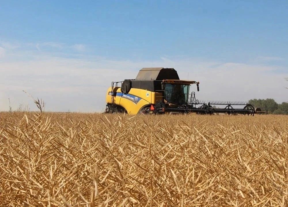В Алтайском крае продолжается сбор урожая