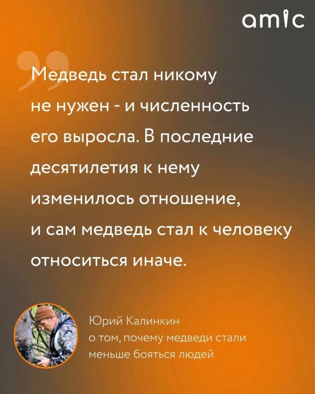 Он изучает медведей больше 20 лет Он изучает медведей больше 20 лет