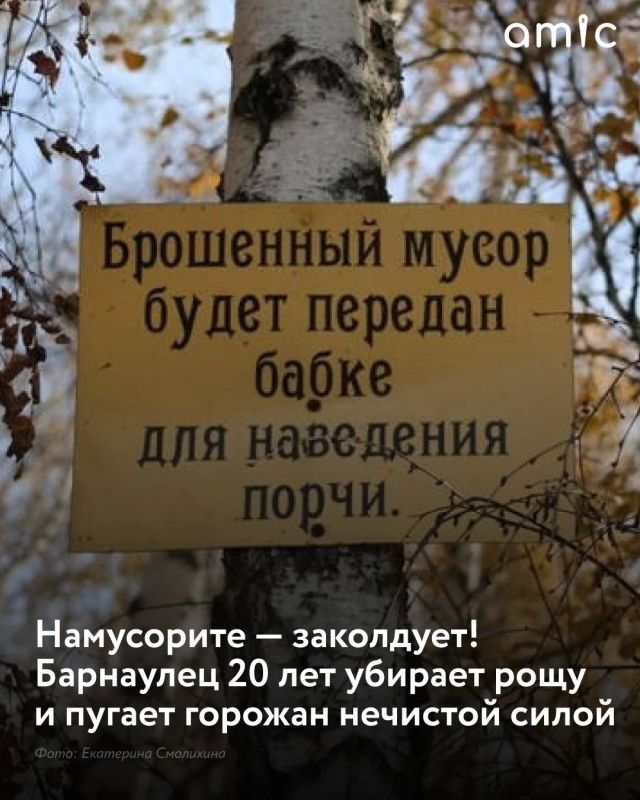 березовой роще на Солнечной поляне фотокорреспондент amic.ru обнаружила таблички с угрозами в адрес тех, кто мусорит