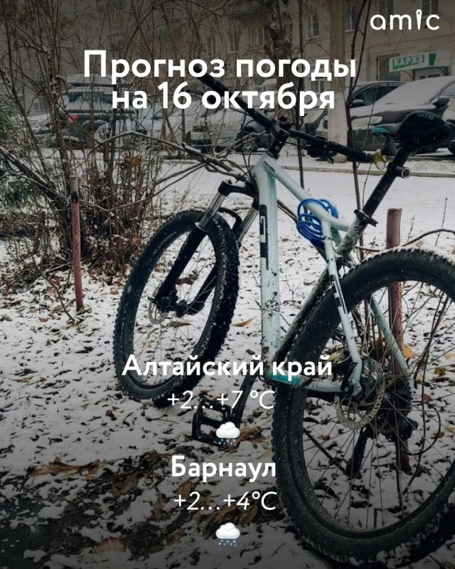 В Алтайском крае 16 октября вновь ожидается снег и гололед, сообщает региональный Гидрометцентр