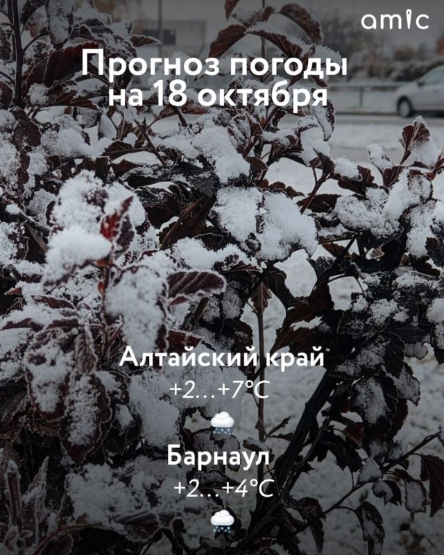 Доброе утро! О погоде 18 октября
