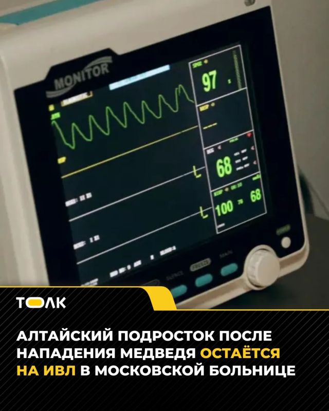 Пострадавший от нападения медведя алтайский подросток остаётся в тяжёлом состоянии