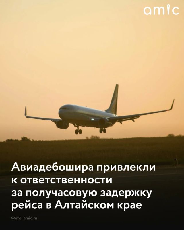 Жителя Алтайского края обязали возместить авиакомпании убытки после инцидента на борту самолета