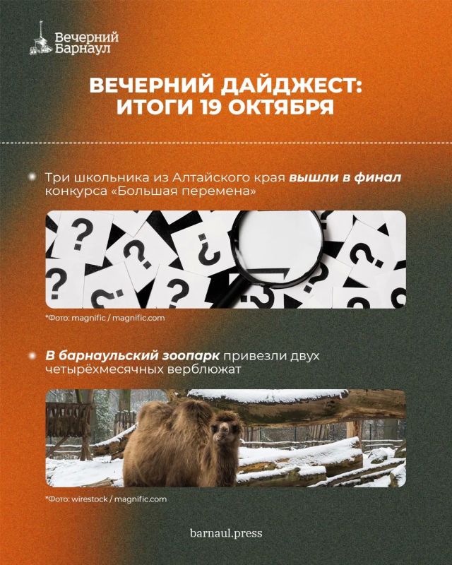 Финал конкурса «Большая перемена», завершение ремонта тепломагистрали на улице Попова и появление верблюжат в барнаульском зоопарке Финал конкурса «Большая перемена», завершение ремонта тепломагистрали на улице Попова и появление верблюжат в барнаульском зоопарке