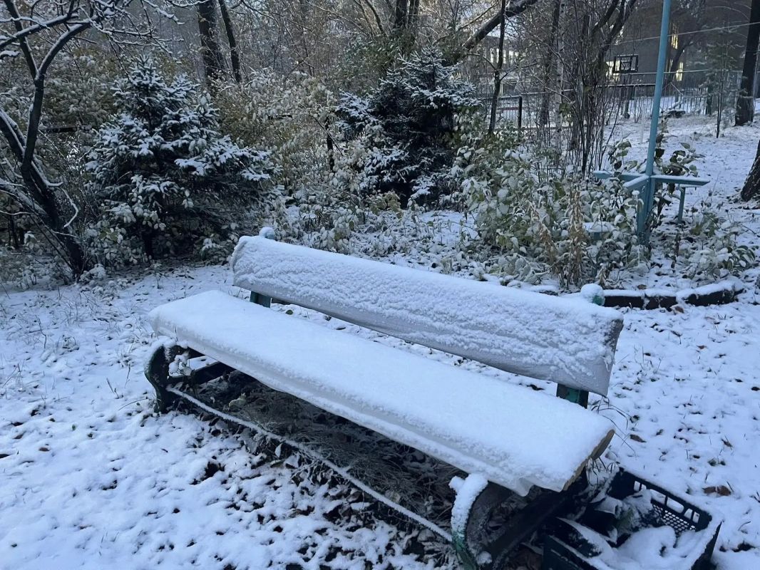 Доброе утро, Рубцовск!. Зима постепенно вступает в свои права: сегодня в Рубцовске выпал первый снег Доброе утро, Рубцовск!. Зима постепенно вступает в свои права: сегодня в Рубцовске выпал первый снег