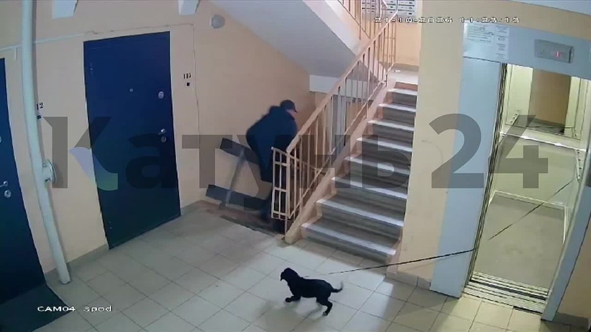 Пинал и привязал к лифту. В Новоалтайске мужчина пытался избавиться от маленького щенка