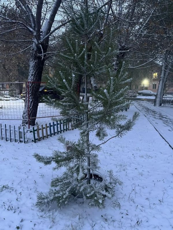 Доброе утро, Рубцовск!. Зима постепенно вступает в свои права: сегодня в Рубцовске выпал первый снег Доброе утро, Рубцовск!. Зима постепенно вступает в свои права: сегодня в Рубцовске выпал первый снег