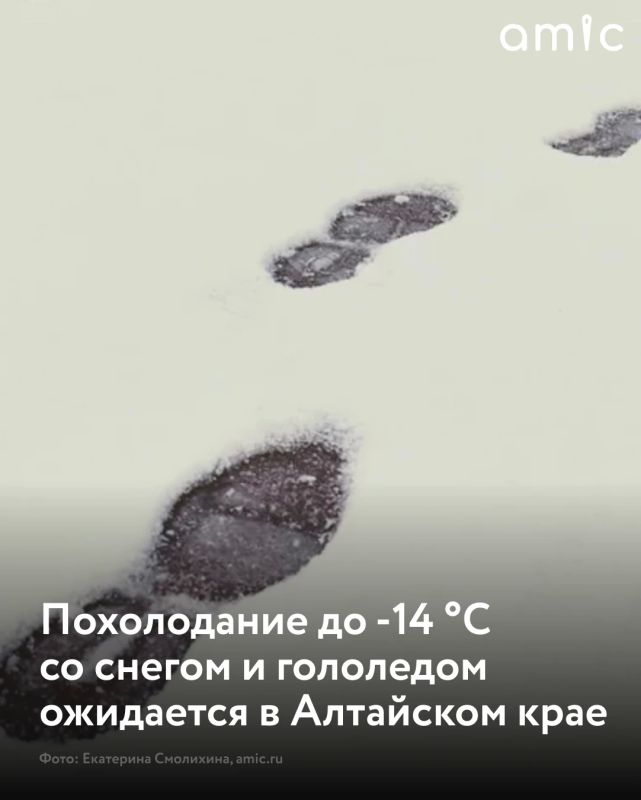В субботу ночью, 24 октября, столбики термометров в Алтайском крае опустятся до -4..-9 градусов, по юго-востоку до -14 градусов, сообщает региональный Гидрометцентр