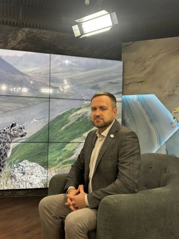 У снежных барсов на Алтае есть свои «паспорта» — хищников узнают по пятнам на морде и хвосте