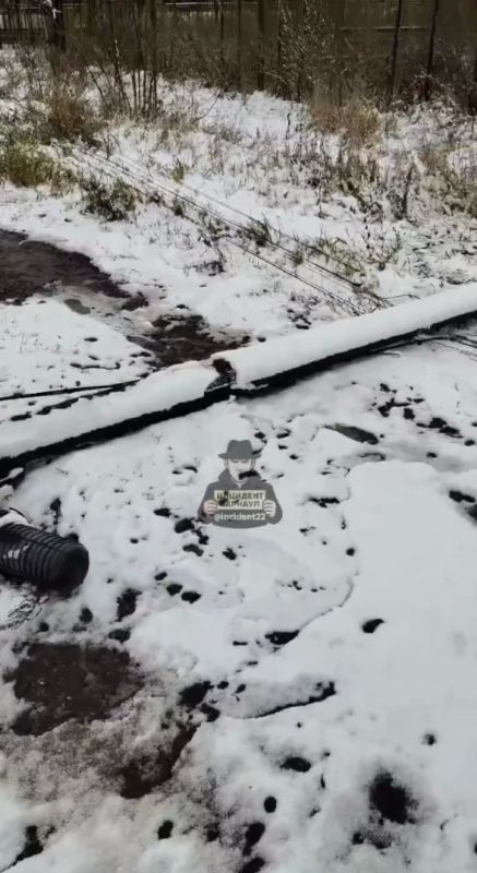 Упавший столб с проводами третий день лежит под Барнаулом