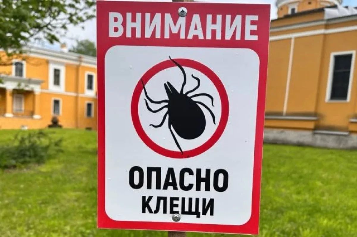 Сезон активности клещей на Алтае завершился
