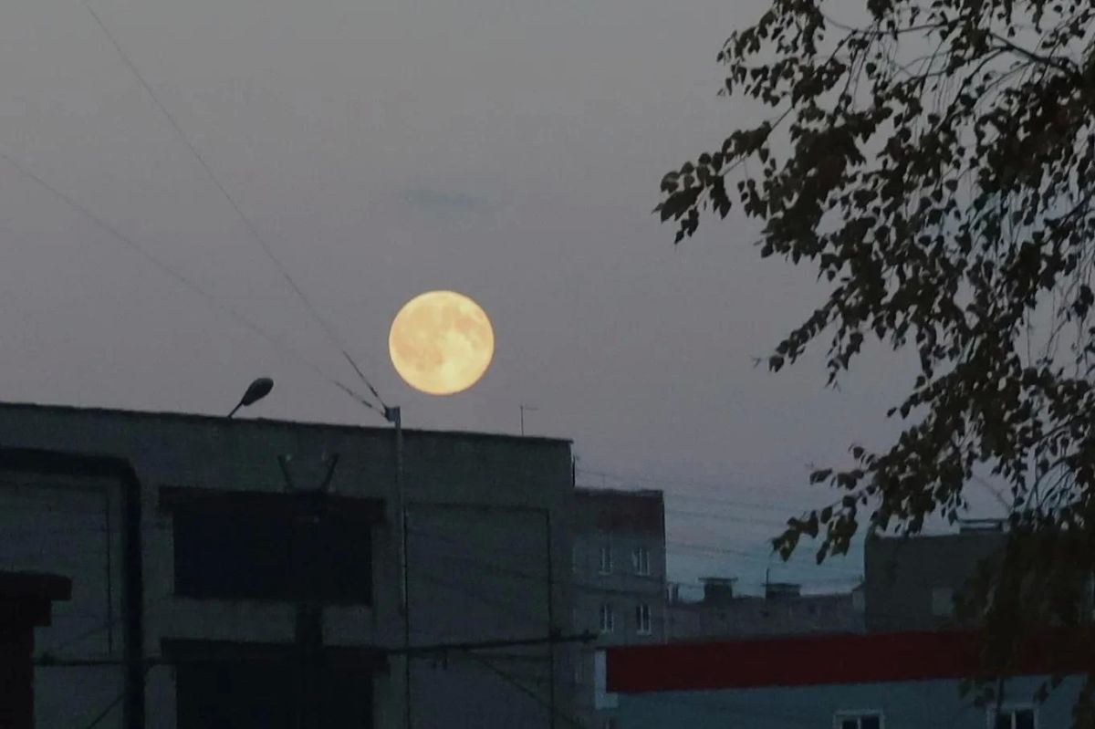 Охотничье полнолуние над Барнаулом