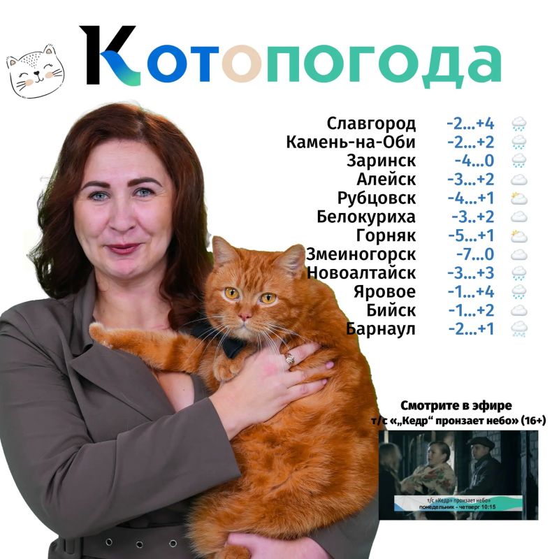 На этой неделе «Котопогоду» на телеканале «Катунь 24» ведут руководитель в строительном магазине Анна Кузнецова и её шестилетний рыжий кот Семён