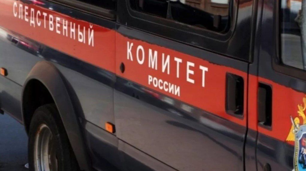 Била и ставила на горох: жительницу Камня-на-Оби будут судить за истязания сына