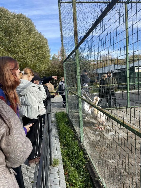 В Барнауле сотрудники ПДН организовали для подростков экскурсию в Барнаульский зоопарк
