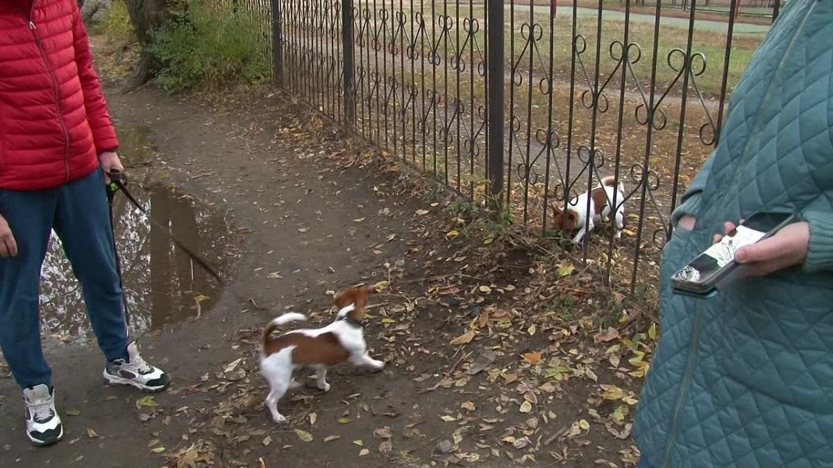 В Бийске разгорелся конфликт между руководством 3-й школы и родителями учеников