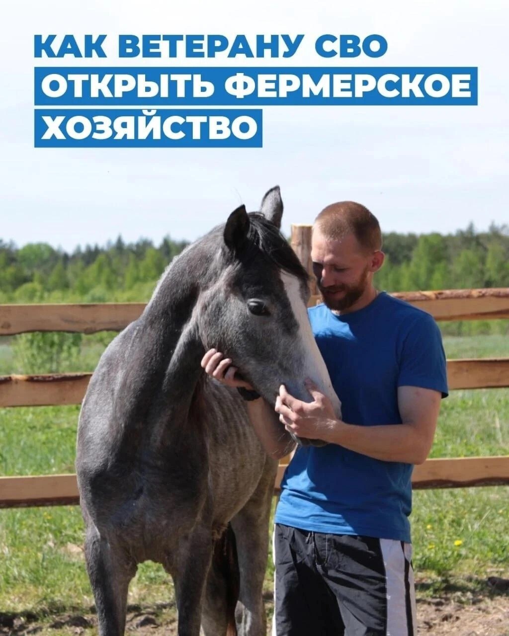 Ветеранам СВО из Алтайского края помогут открыть фермерское хозяйство