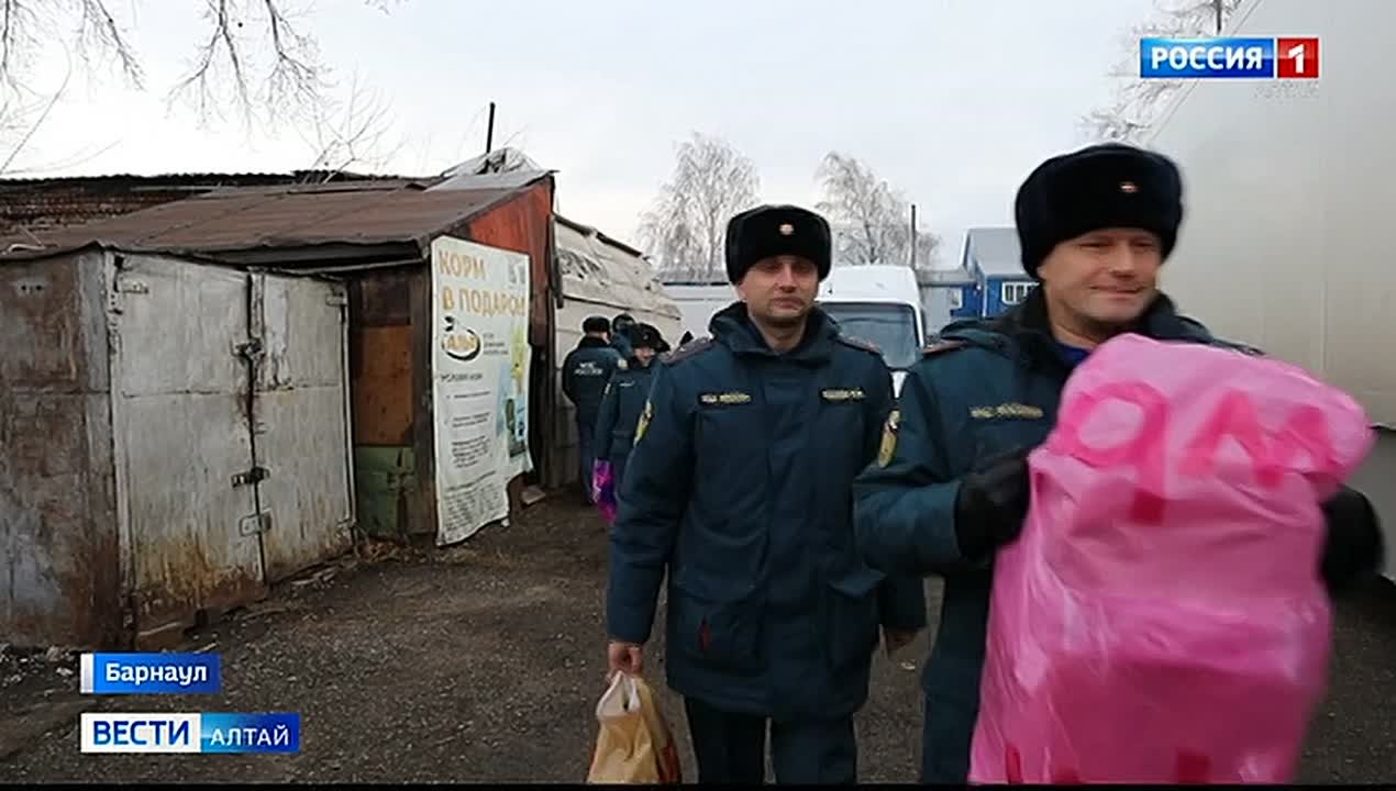 Сотрудники краевого главка МЧС помогли барнаульскому приюту «Ласка»