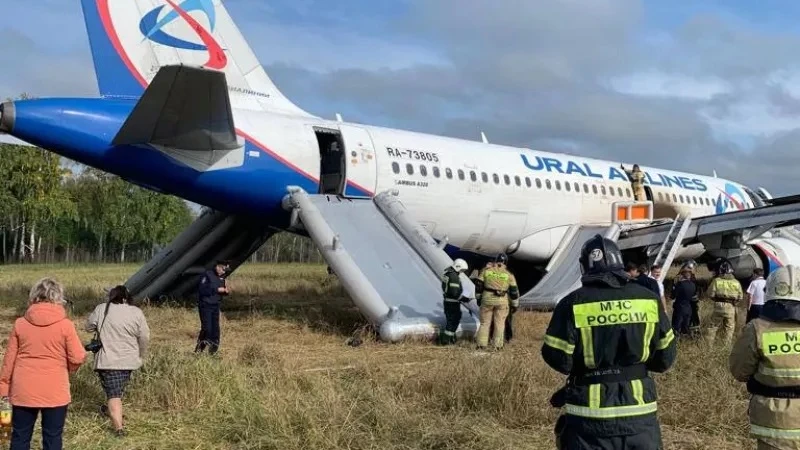 Пилоту, посадившему самолет в поле под Новосибирском, вновь предъявили обвинение