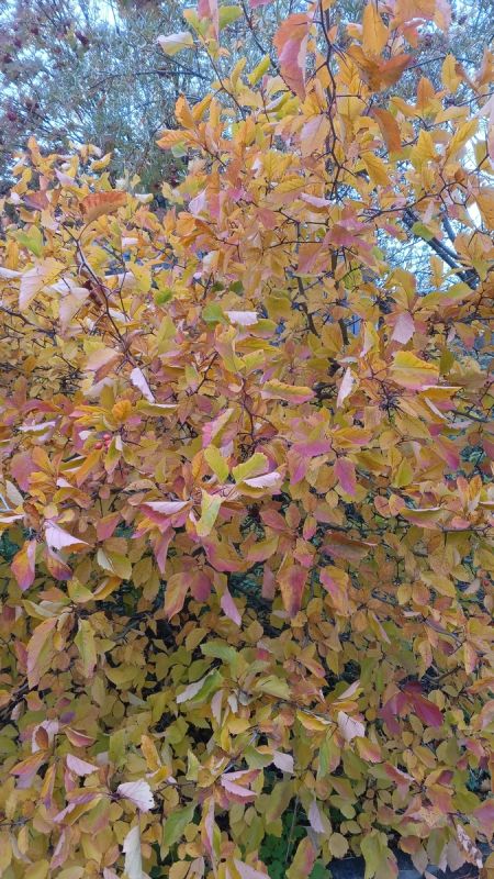 Бабушки на работе: почему пожилые люди продолжают трудиться в 80 лет